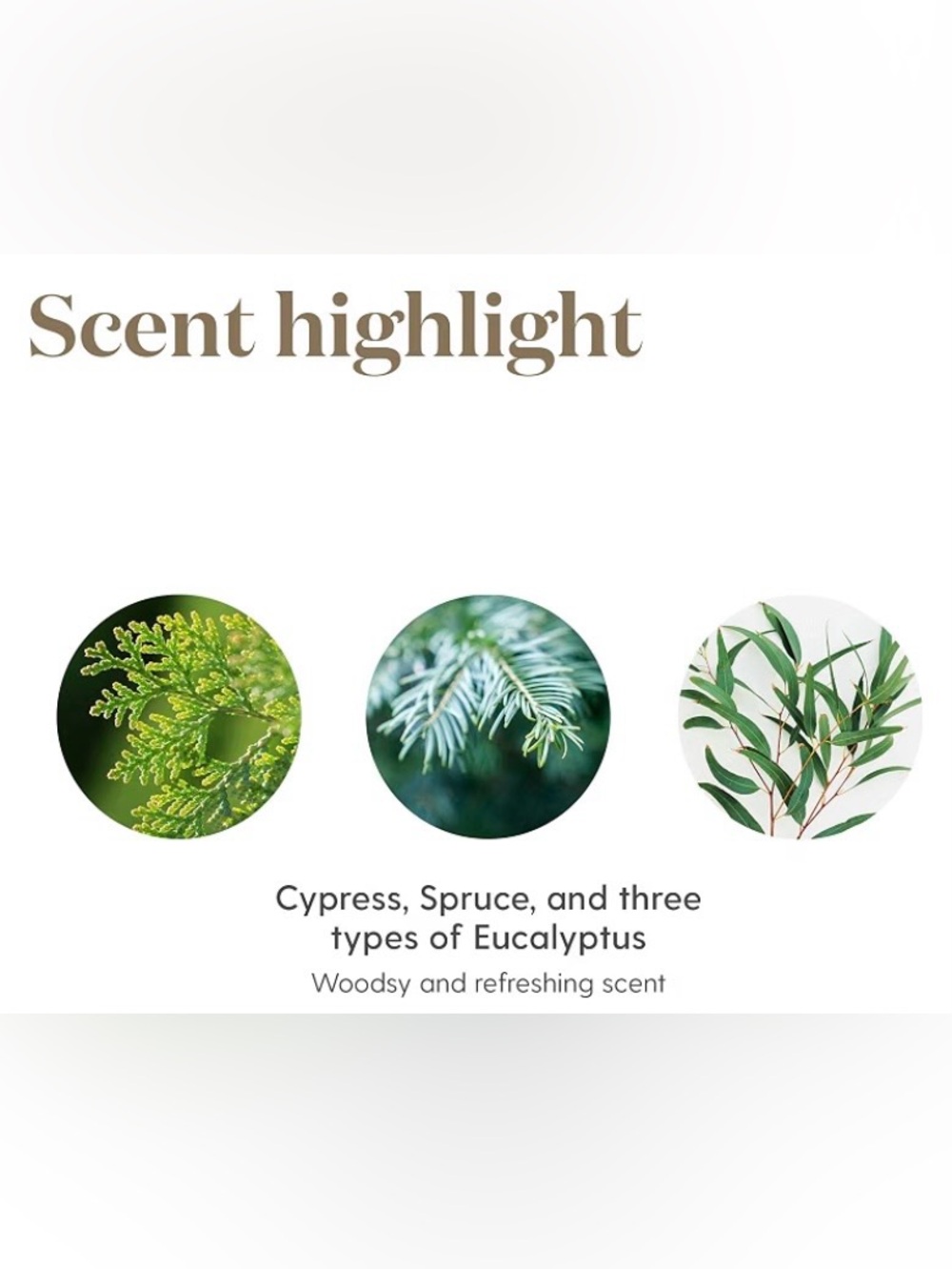 Young Living R.C. Essential Oil Blend 5 ml- BRAND NEW UNOPENED SEALED BOTTLE - Picture 6 of 8